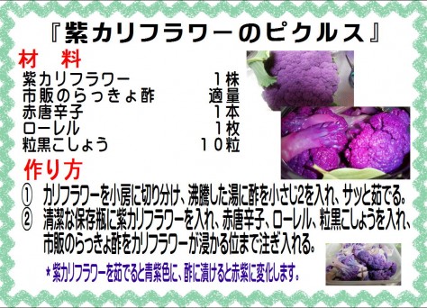 紫カリフラワーのピクルス>